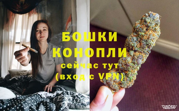 дмт Киреевск