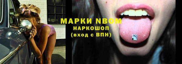 дмт Киреевск