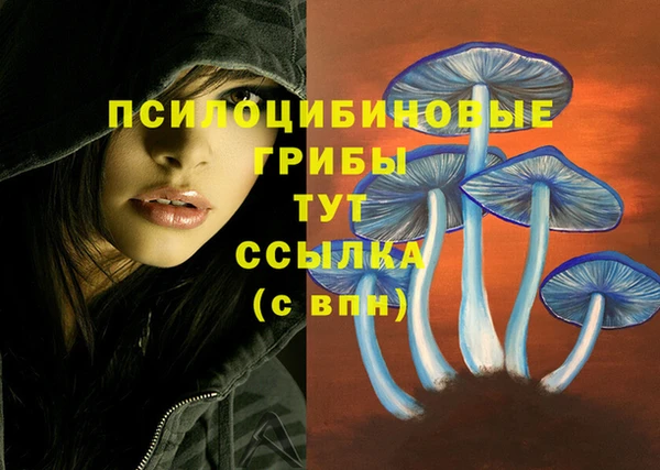 таблы Кинешма